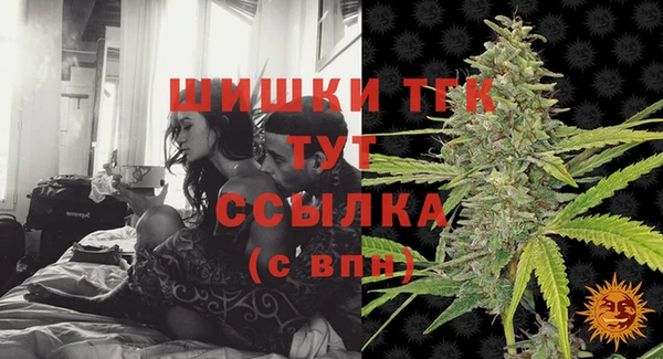 эйфоретик Няндома