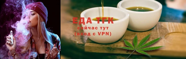 эйфоретик Няндома