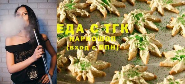 эйфоретик Няндома