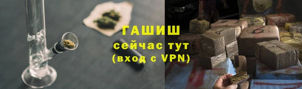 эйфоретик Няндома