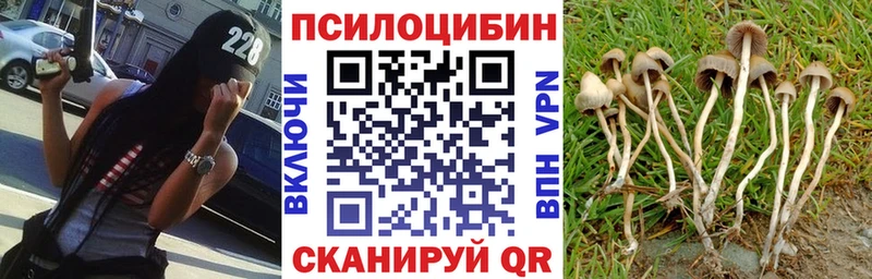 Купить где  Малмыж  Галлюциногенные грибы прущие грибы 